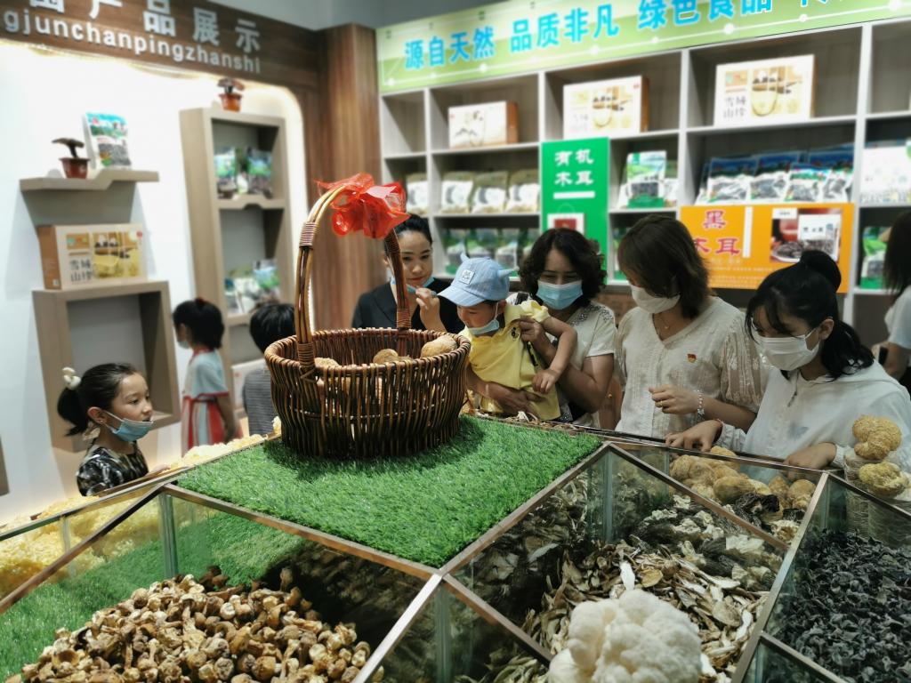 各族人民群眾在從參觀疏勒縣食用菌生態科技示范園