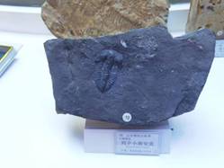 微信圖片_20231113183753